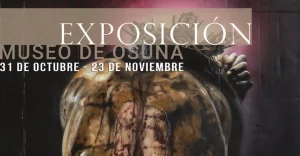 Museo exposicion – Hermandad Humildad y Paciencia, Atado a la Columna y Virgen de la Soledad, Osuna - Semana Santa Sevilla Osuna